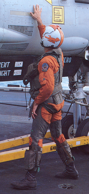 vf114pilot.jpg