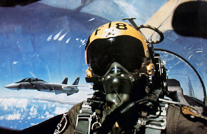 vf84pilot.jpg